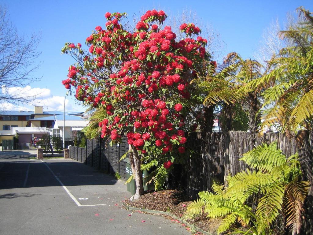 Victoria Lodge Rotorua Bagian luar foto
